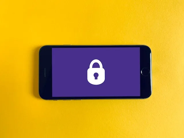 Un estratto conto della carta di credito discreto che nasconde il nome dell'articolo